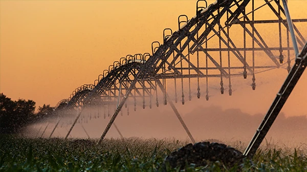 Nelson Orbitor FX sprinklers Irrigating Nebraska corn