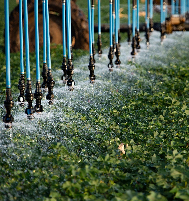 Irrigating Texas cotton with center pivot featuring Nelson Irrigation's Bubblewide sprinkler.