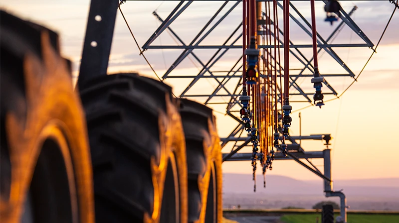 Center Pivot sprinklers at sunset on a Zimmatic.