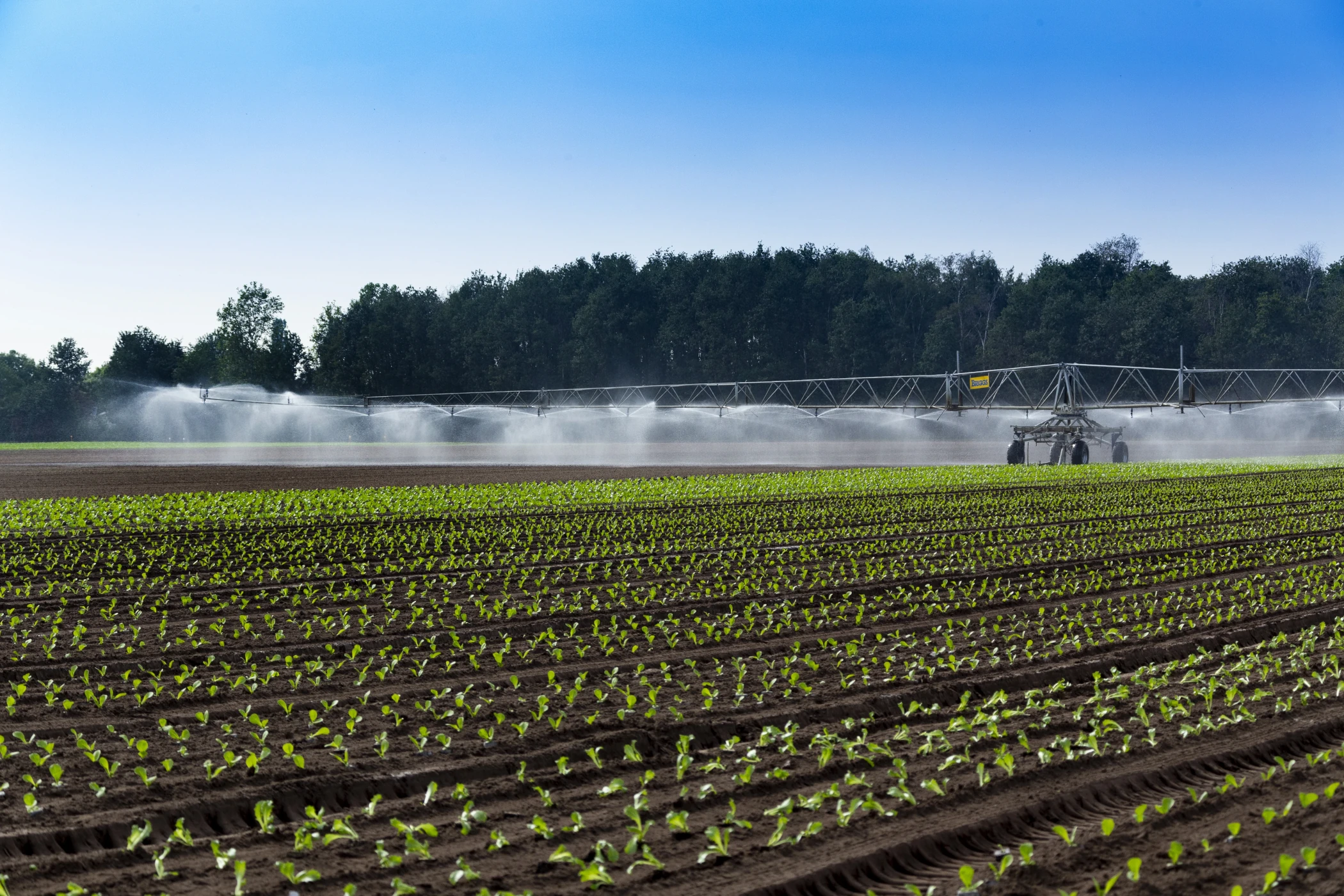 Boom Irrigation