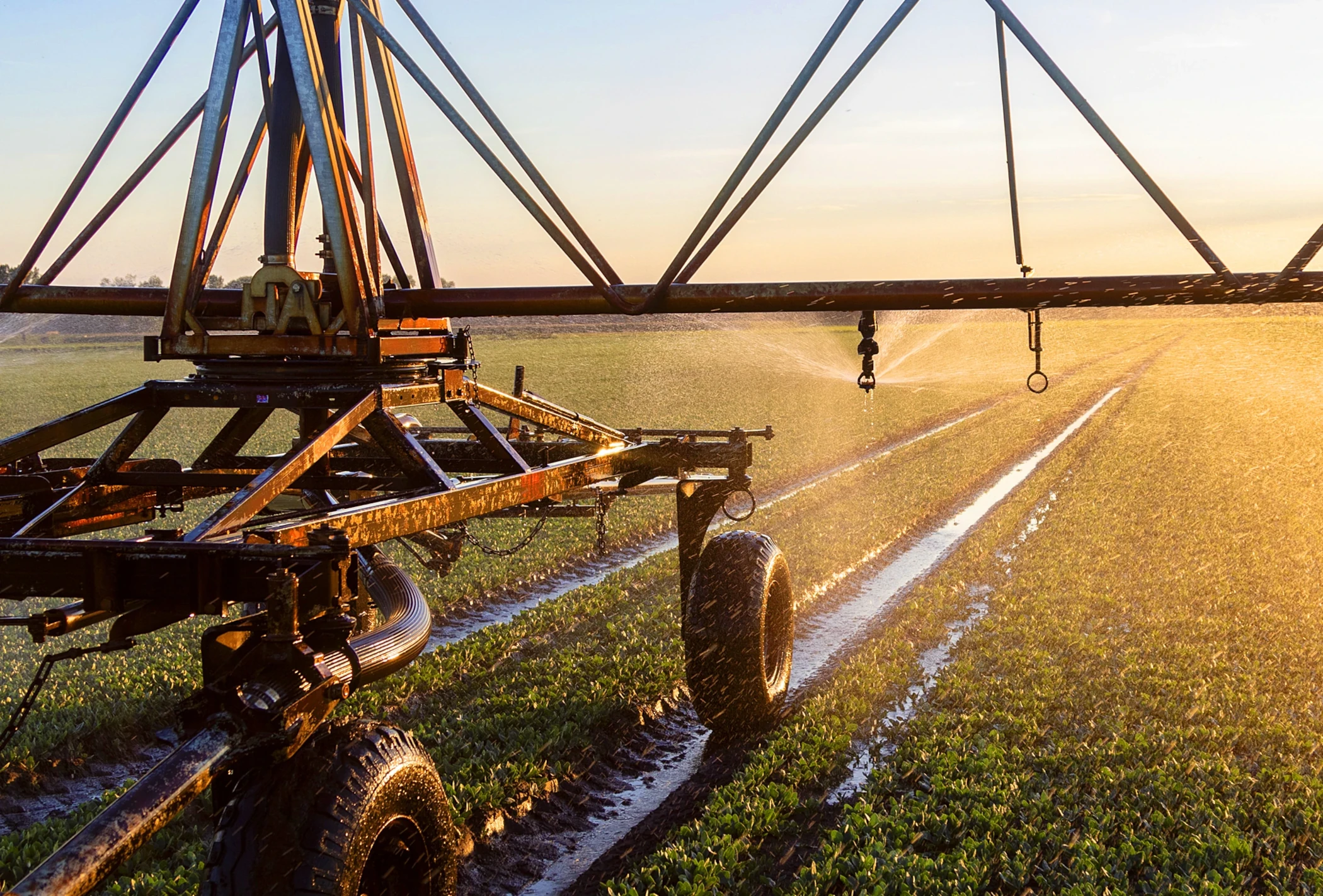 Part-circle Rotator® and Spinner sprinklers keep water on the crops where it belongs.