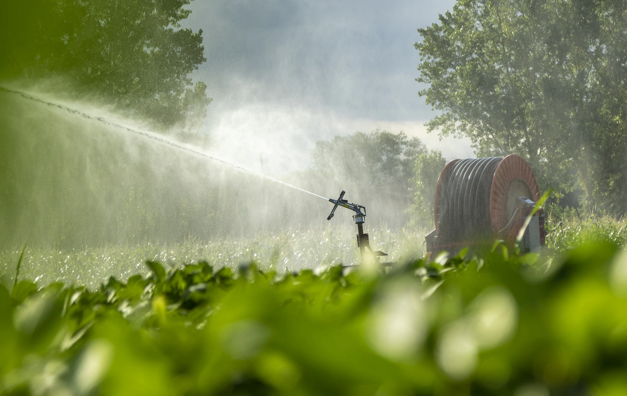 Hose Reel Traveler Irrigation