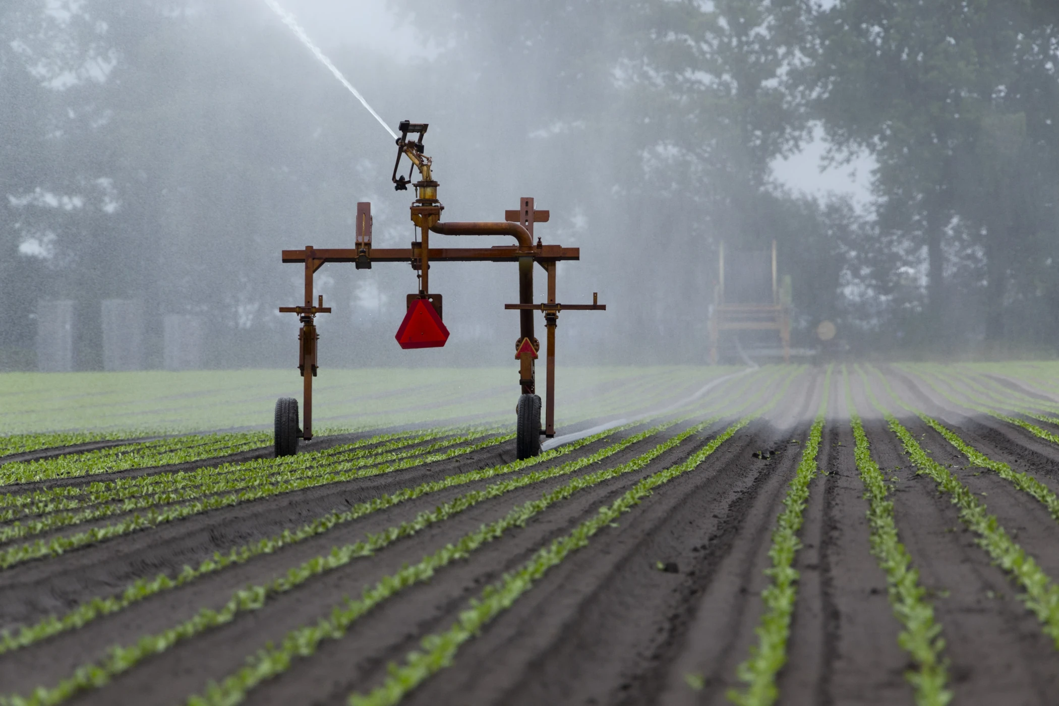 Big Gun Sprinklers are adaptable for a variety of crops in hose reel irrigation.