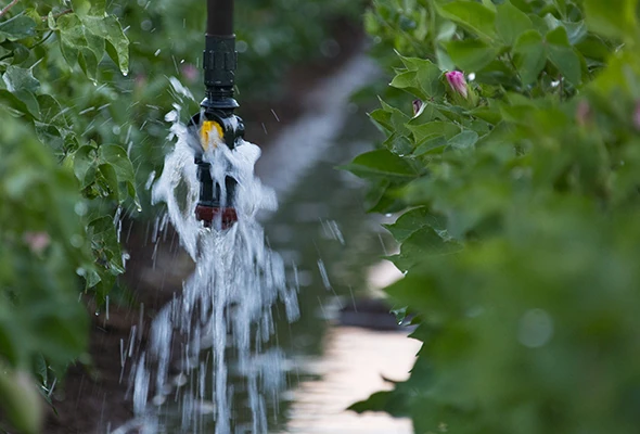 Low-elevation options include the Accelerator combined with a Bubble-Wide plate for full season irrigation.