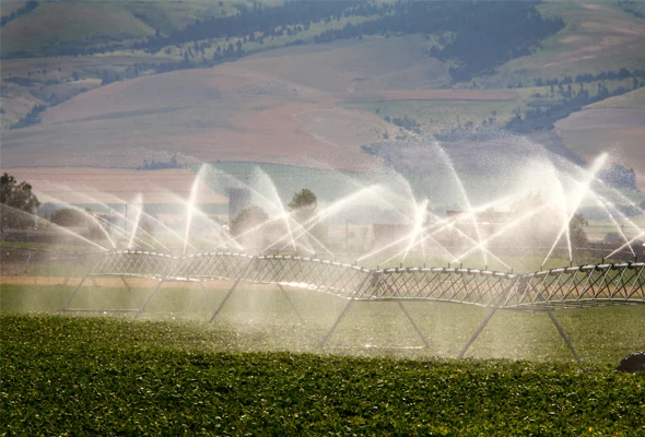 An up-top application with R2000WF Rotator® Sprinklers.