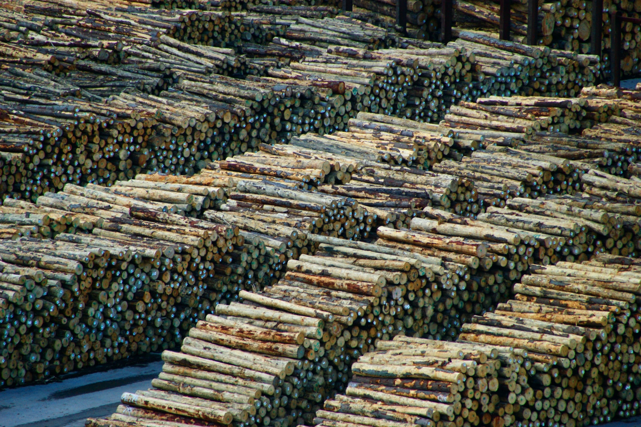 Log Yard Wet Storage