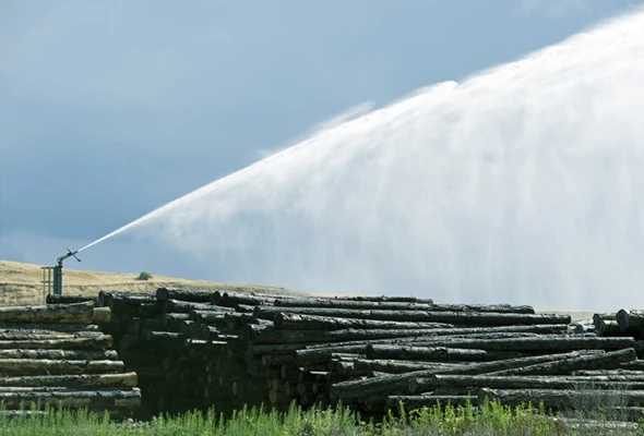 Big Gun Sprinklers bring the wide water coverage that’s essential in log yards.