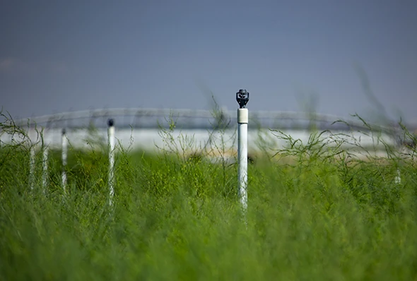 Rotator® technology is another great option for irrigating corners.