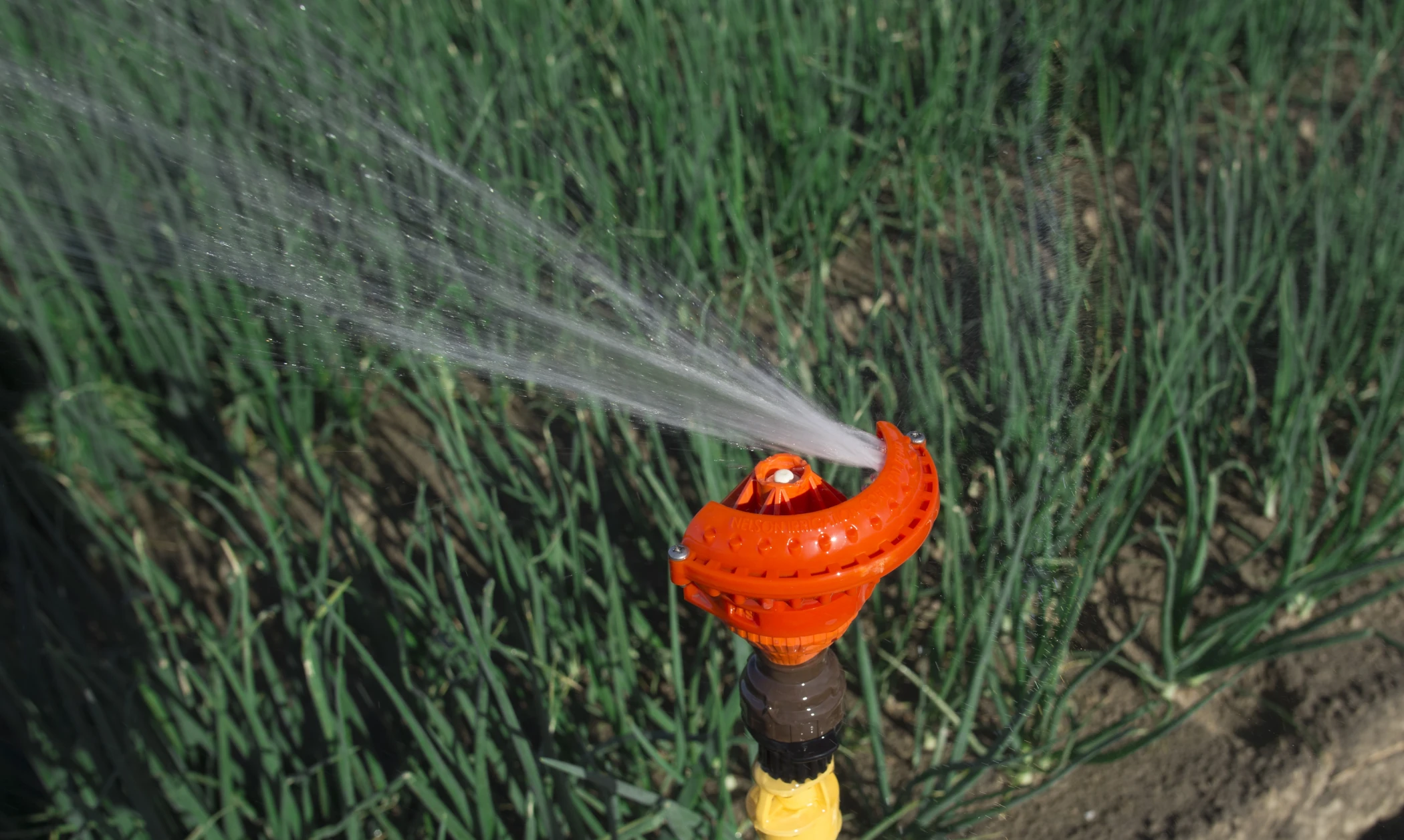 Road Guard Sprinkler