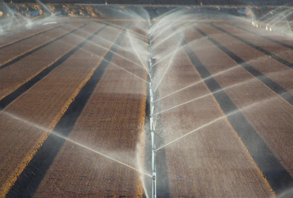 R2000WF Rotator Sprinklers on aluminum pipe in California.