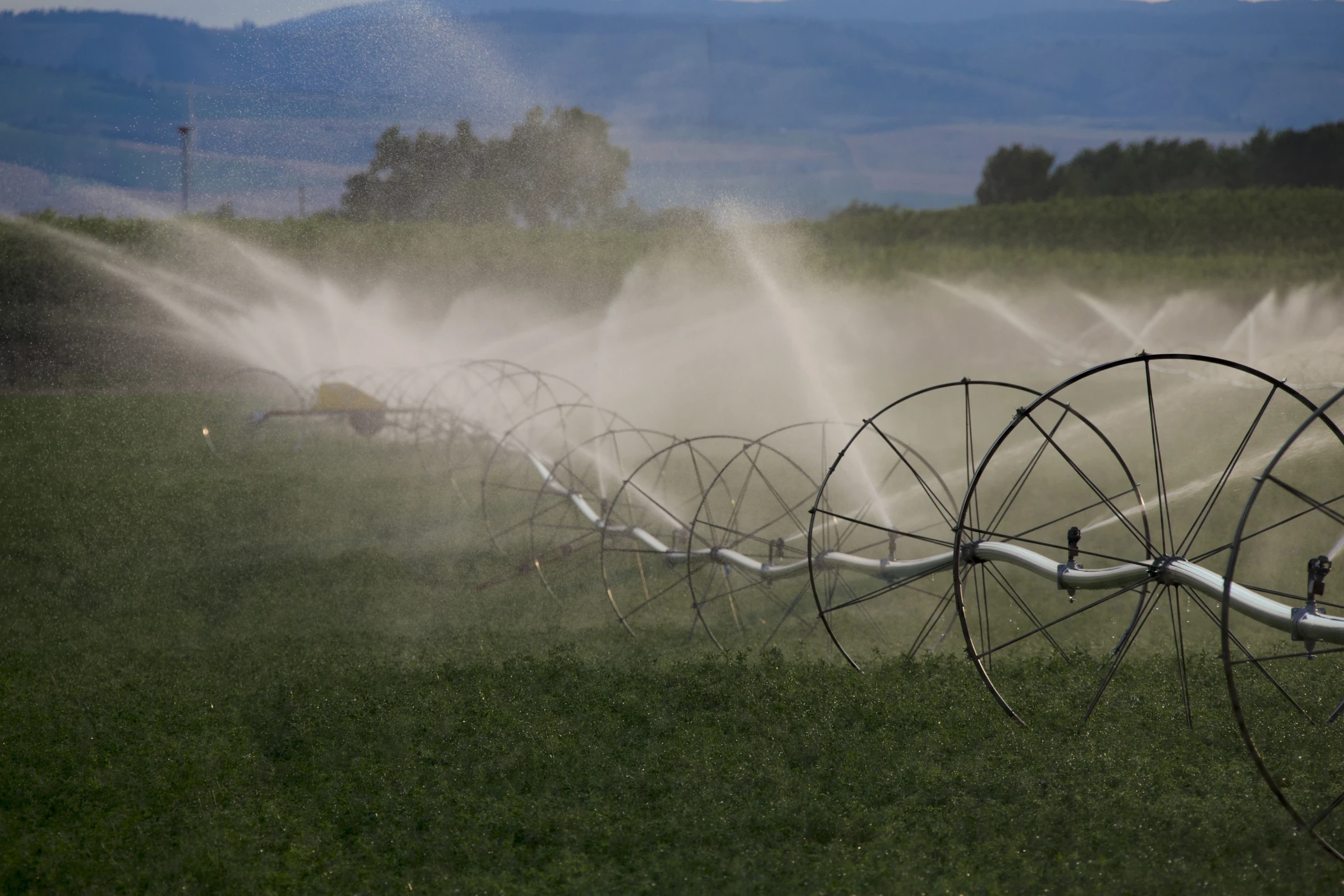 Wheel Line Irrigation